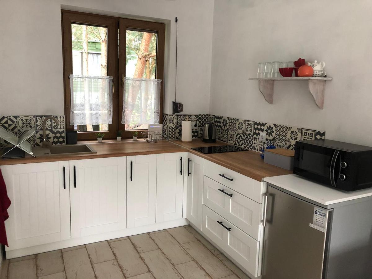 Pod Lasem Czarny Mlyn Εξωτερικό φωτογραφία
